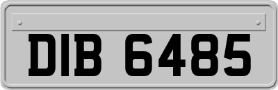 DIB6485