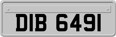 DIB6491