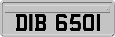 DIB6501