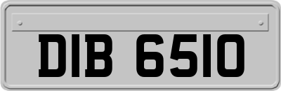 DIB6510
