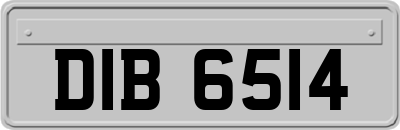 DIB6514