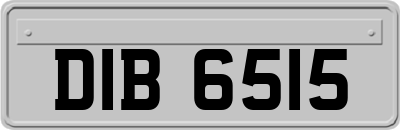 DIB6515