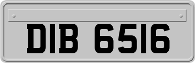 DIB6516