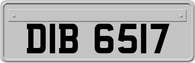 DIB6517