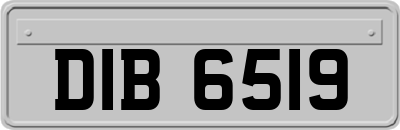 DIB6519