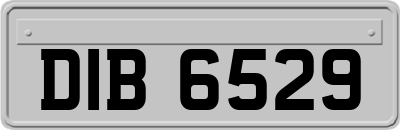 DIB6529