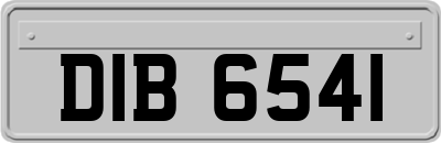 DIB6541