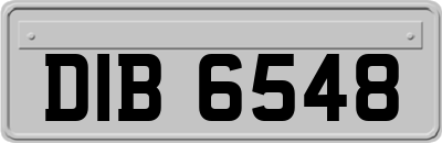 DIB6548