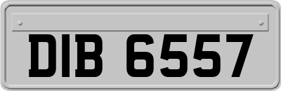 DIB6557