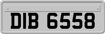 DIB6558
