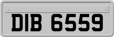 DIB6559