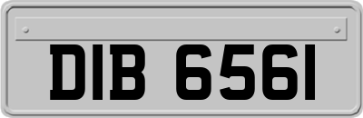 DIB6561