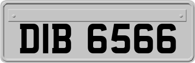 DIB6566