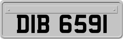 DIB6591