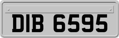 DIB6595