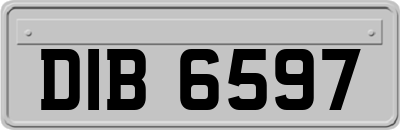 DIB6597