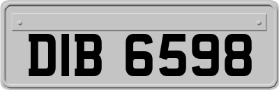 DIB6598