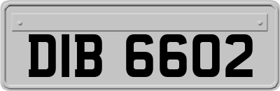 DIB6602