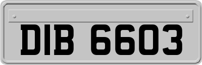DIB6603