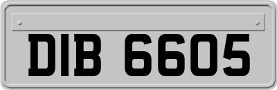 DIB6605