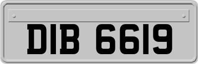 DIB6619