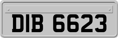 DIB6623