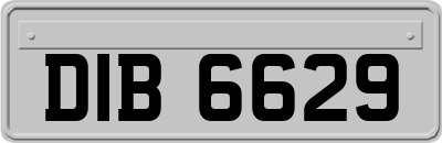DIB6629