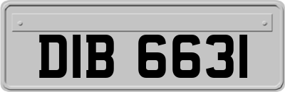 DIB6631
