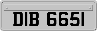 DIB6651