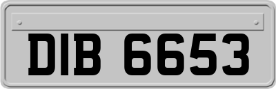 DIB6653