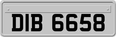 DIB6658