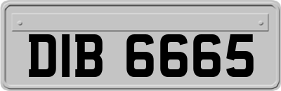 DIB6665