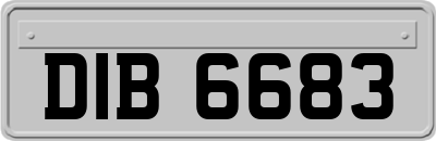 DIB6683