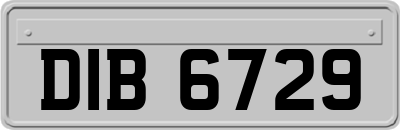 DIB6729