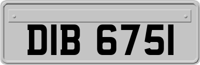 DIB6751