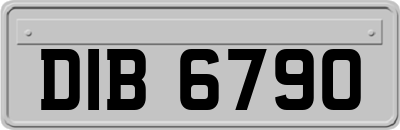 DIB6790