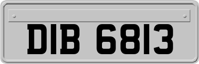 DIB6813