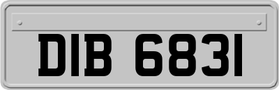 DIB6831