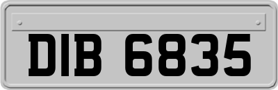DIB6835