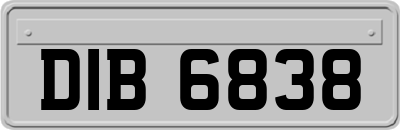 DIB6838