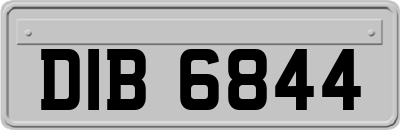 DIB6844