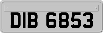 DIB6853