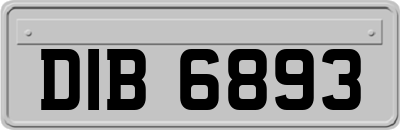 DIB6893