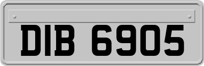 DIB6905