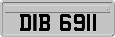 DIB6911