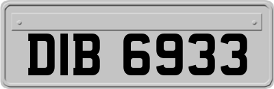 DIB6933