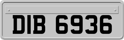 DIB6936