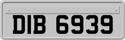 DIB6939