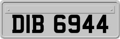 DIB6944
