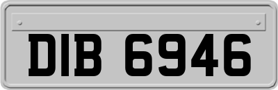 DIB6946
